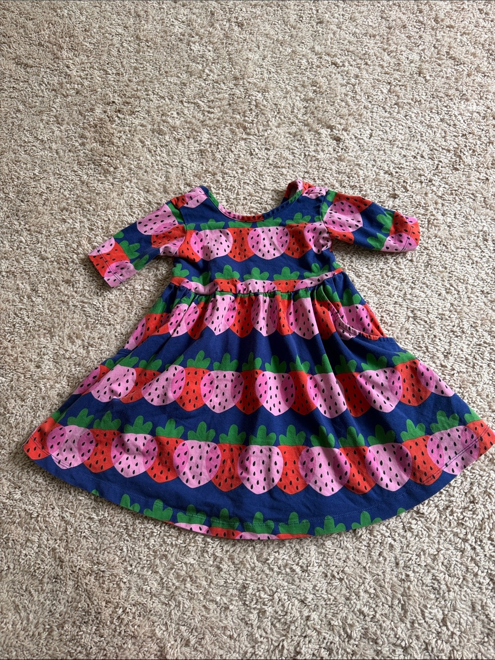 Hanna Andersson Blue Strawberry Skater Dress with Pockets 3T